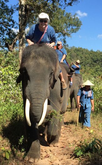 Bareback-elephant-day-in-Chang-Mai-Thailand