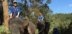 Elephant-safari-pre-surgery-2015