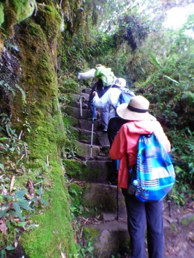 Inca-Trail-steps-May-2017