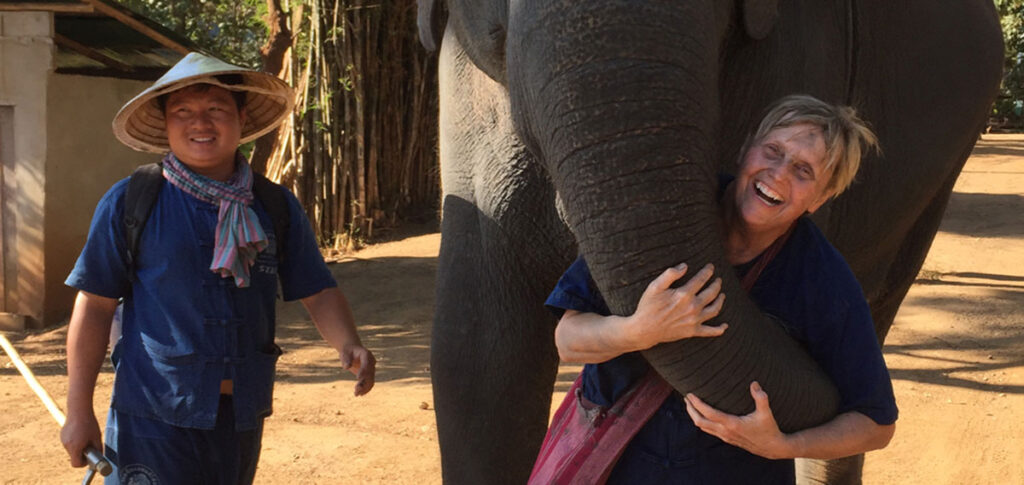 elephant hug
