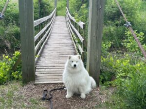 Kaia