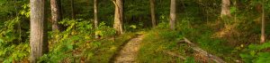 Hiking Header